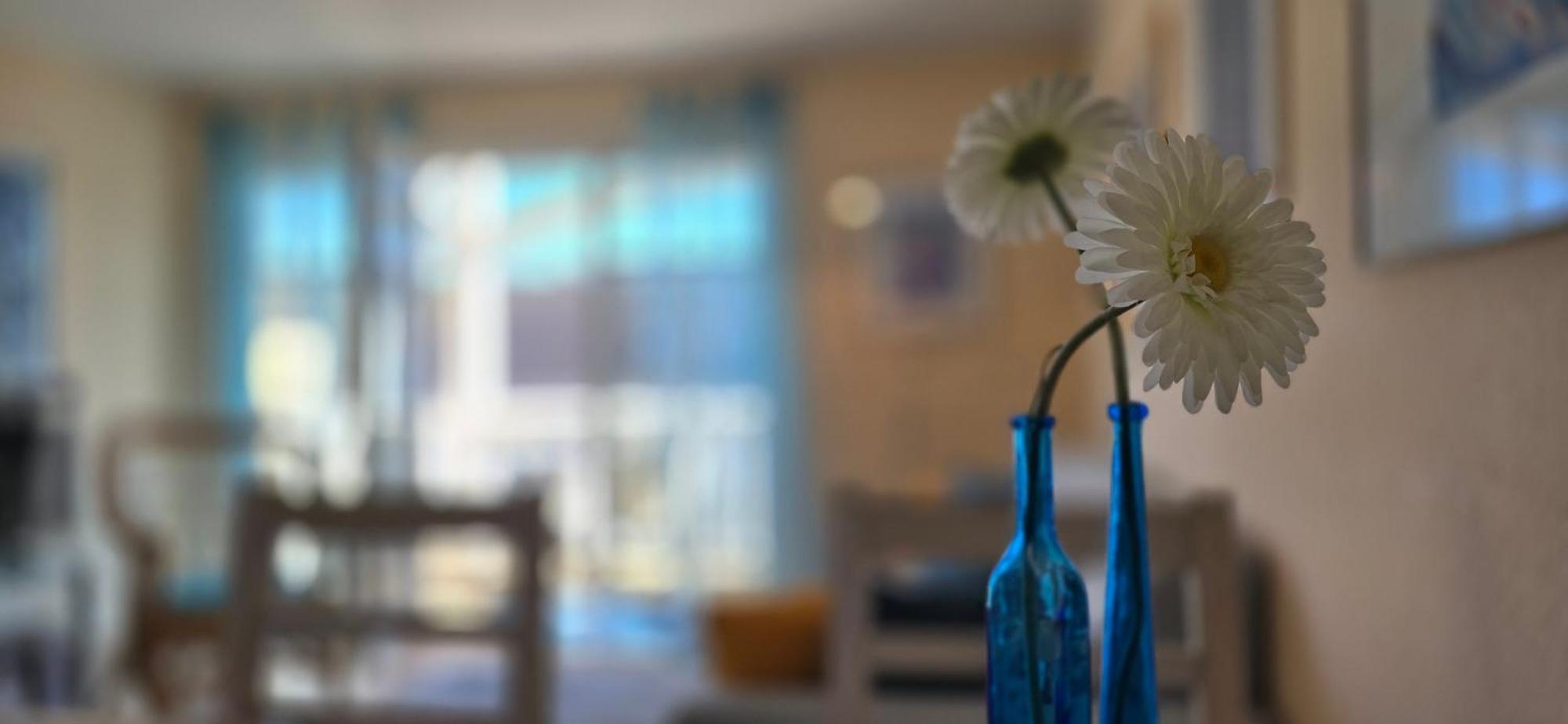 Ferienwohnung T3 Graal-Mueritz Dış mekan fotoğraf